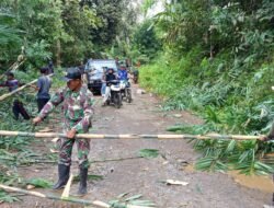Koramil 424-08/Ppg Komandoi Gotong Royong di Sinarjawa Tanggamus, Panitia Ucapkan Terimakasih Pada Semua Pihak