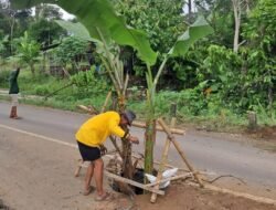 Jalan Amblas di Talang Padang–Ulubelu, PGE Dituding Sengaja Tutup Mata
